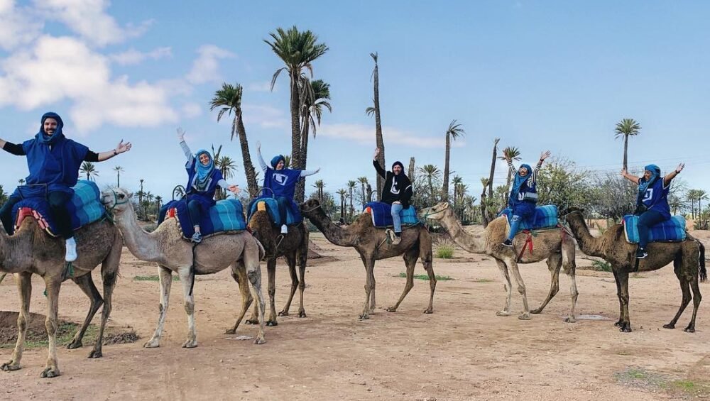 Marrakech Camel Ride